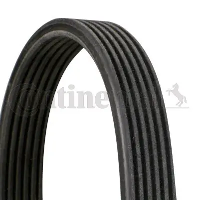 Najlepsza cena Pasek klinowy wielorowkowy CONTINENTAL CTAM CON 6DPK1195